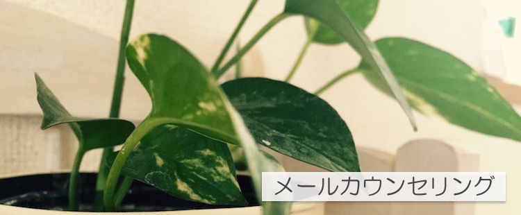 kusa_mail
