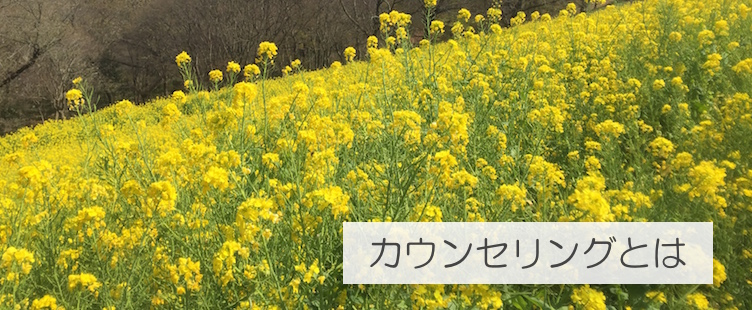 メールカウンセリングのメリットとデメリット メールカウンセリングのメリットとデメリット